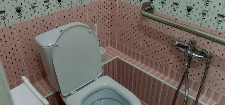 Meeting Diverse Needs With Accessible Restroom Solutions in Lockport, IL